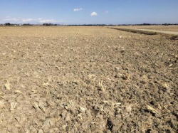 �����C���[�W03