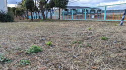 �����C���[�W01